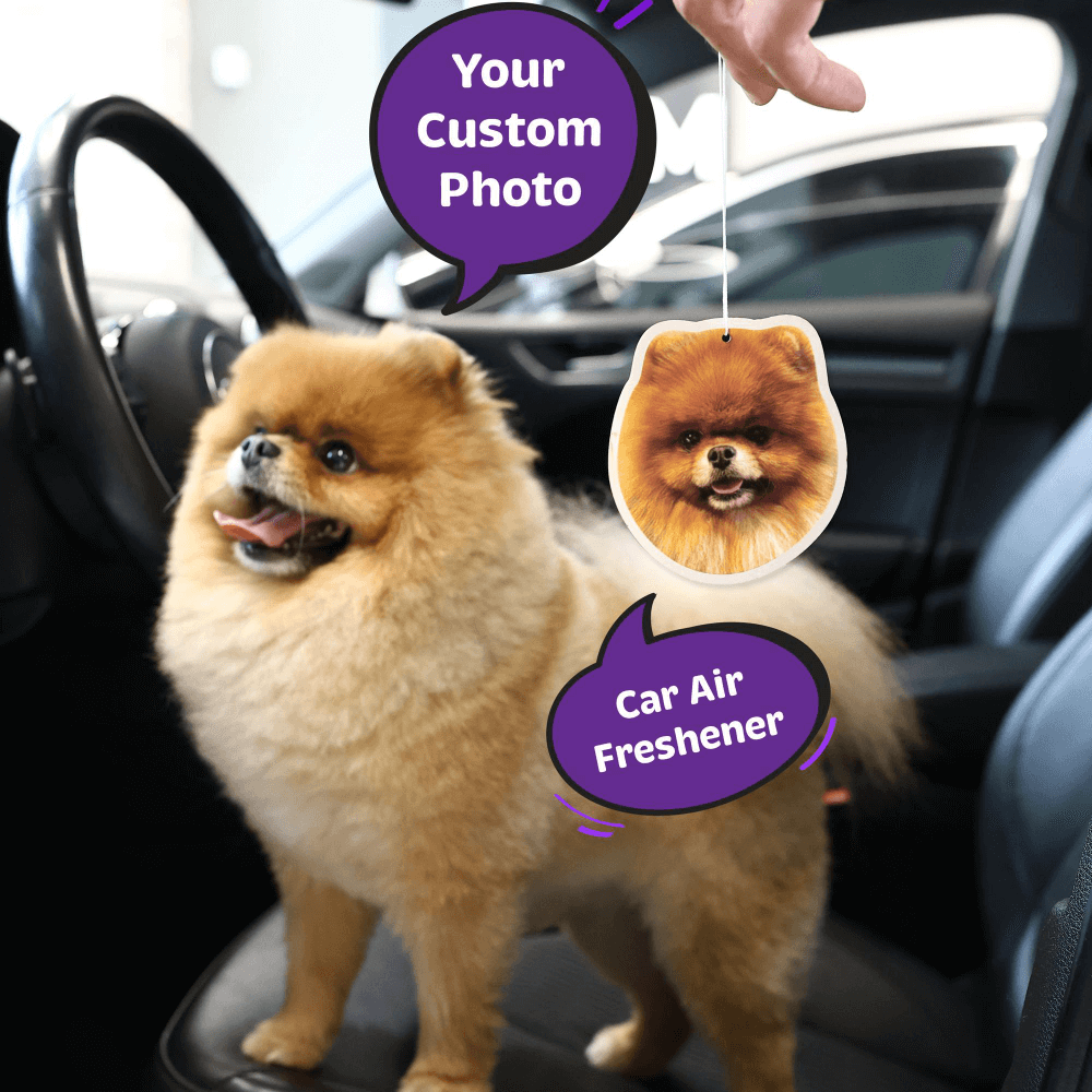 HenryCustoms™ Custom Car Air Freshener(5PC)